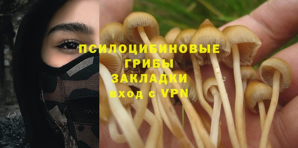 PSILOCYBIN Арсеньев